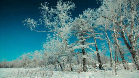 Kodak Chrome G - Universal Camera Support