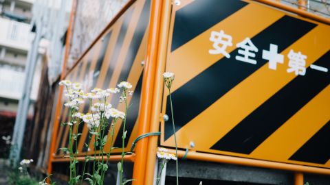 Kodak Portra 160 VC 2 - Universal Camera Support