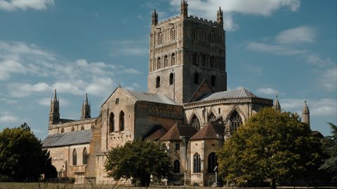 Warm Cinematic Style: Transforming Vivid Greens into Beautiful Yellows