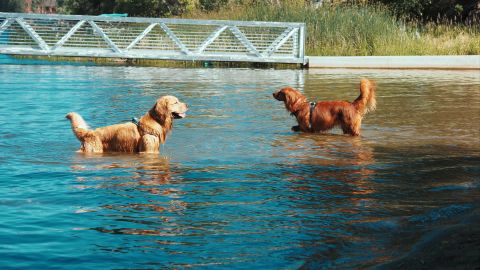 Warm Teal and Orange Cinematic Atmosphere