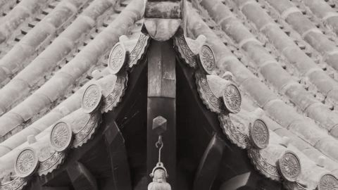 Japanese-Inspired Monochrome