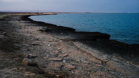 Fuji FP-100c 1 -- Universal Cinematic LUT