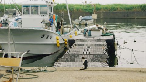 Ricoh GR Standard Edition - Universal Camera Support with Grain