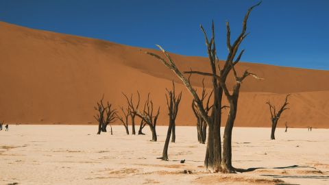 Dark Tones: Premium Fashion