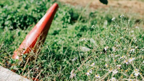 Kodak Portra 400 UC - Universal Camera Support