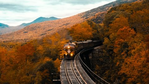 Autumn Landscape: Golden Daylight