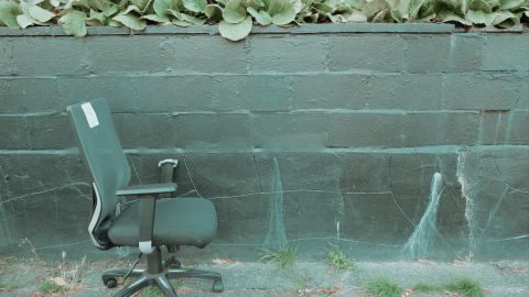 Soft Pale Green Atmosphere