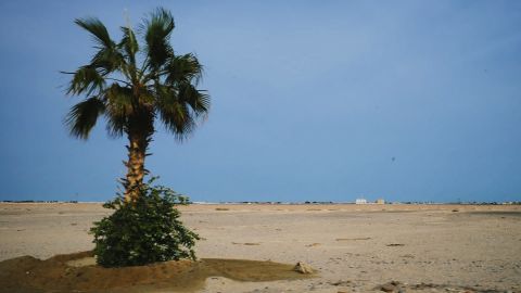 Fuji 800Z 2 - Universal Cinematic LUT