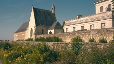 Altay-Inspired Cinematic LUT