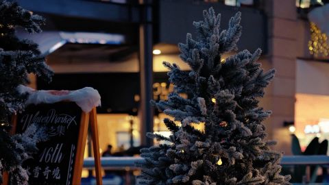 Christmas Lights 2 - Universal Camera Support