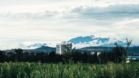 Blooming Daytime LUT - Universal Camera Support for Fresh, Enhanced Landscapes