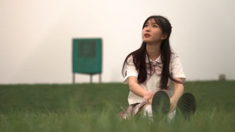 Fuji Provia 100F - Universal Cinematic Portrait LUT