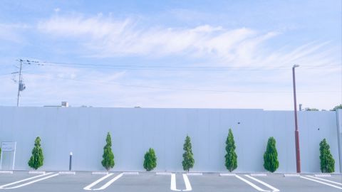 Polaroid 690 Cold 2-16 - Vintage Film LUT with Universal Camera Support