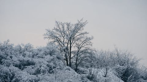 Ultra-Bright Winter Landscape