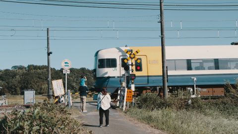 Cool Gray Warm Skin Commercial LUT