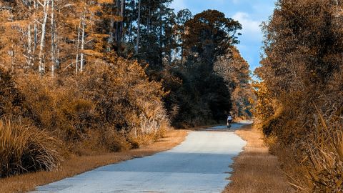 Autumn Hues with a Blue Tinge