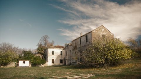 Blessed Cinematic Tones Pro