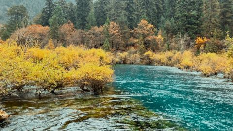 Soft Backlit Teal Film Contrast