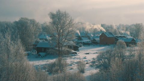 Cyber Dream: Purple Haze