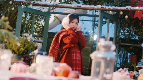 Christmas Paws Diary