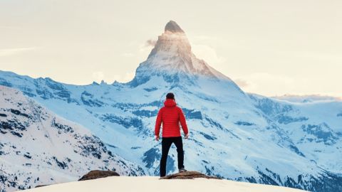 Standard Contrast Neutral Tint