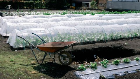 Kodak Portra 160 NC - Universal Camera Support