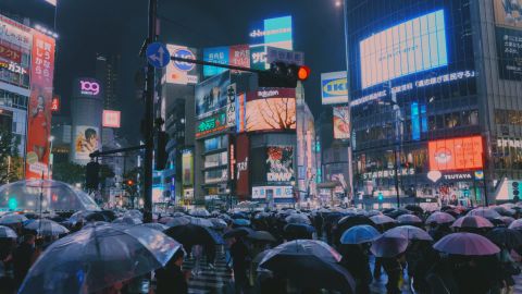 Chill Chemistry Neon