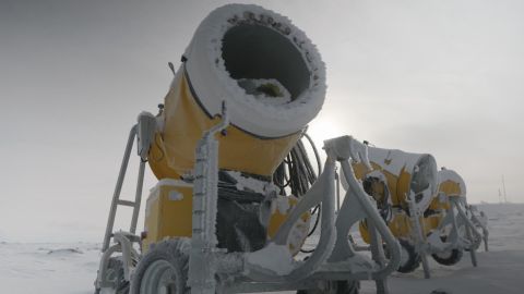 Desaturated Shadows: Cinematic Low Saturation with Premium Gray Tones