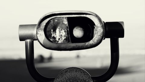 Monochrome with a Hint of Warmth