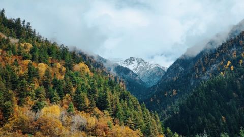 Daylight Street Scene: Neutral Tones with Natural Contrast