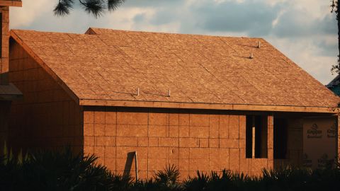 Warm Golden Contrast