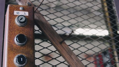 Kodak Portra 400 VC 3+