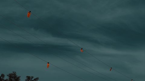 Desaturated Green Horror