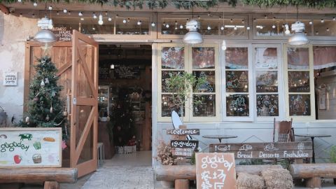 Christmas Morning Cool Tonal Soft Light