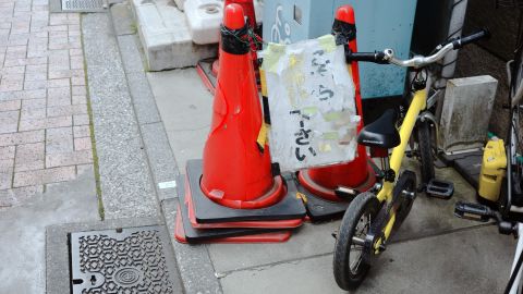 Kodak Kodachrome 25 - Universal Camera Support