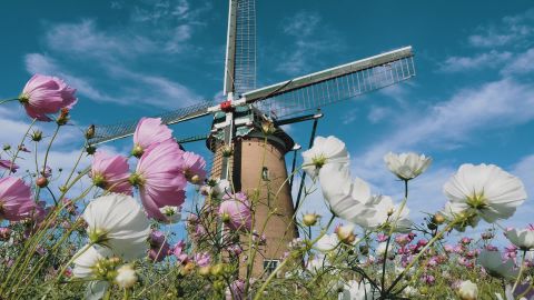 Desaturated Business Blue-Grey LUT