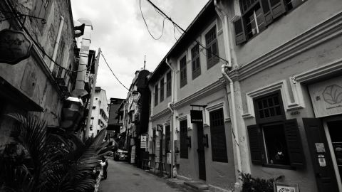 Cinematic Documentary Warm Gray Monochrome