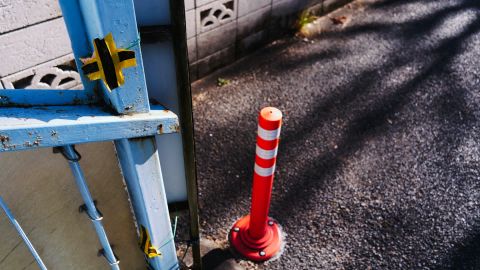 Polaroid 690 2 -11: Vintage Film Emulation with Universal Camera Support