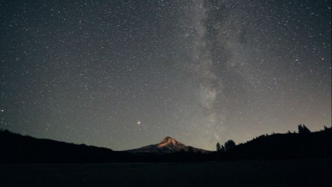 Kodak Ektar 100 Photo Film Exposure 2