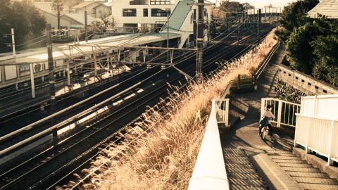 Golden Era Warm Sunlight with Cyan Shadows