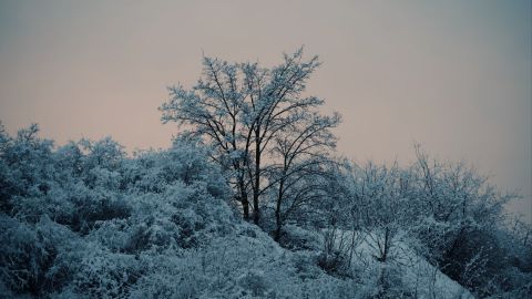 Iconic Cinematic Look