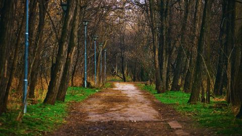Park Stroll: Fresh Teal & Green