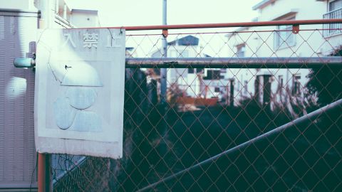 Polaroid 669 4+2: Universal Vintage Film LUT