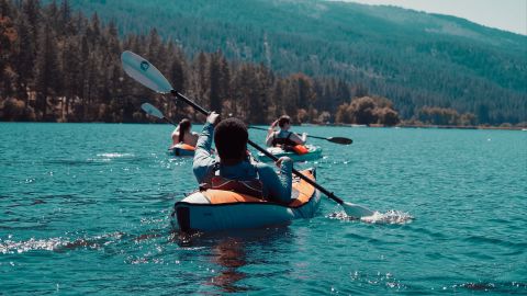 Crazy Duotone: Unreal Yet Cool