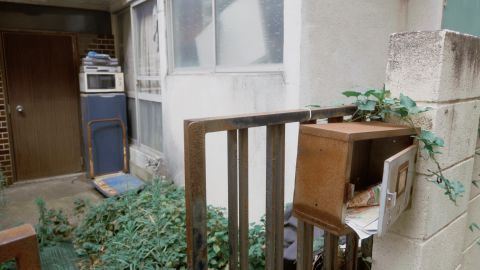 Ricoh Negative Film 2 - Universal Camera Support with Grain