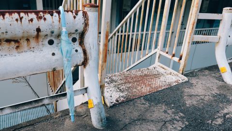 Kodak Portra 160 VC 3+