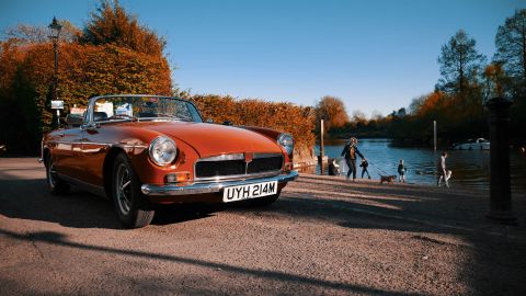 Warm High-Contrast Green to Deep Orange-Brown