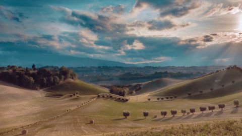 Subdued Contrast Mountain Vista