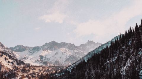 Universal Cold White Standard Contrast for Scenes