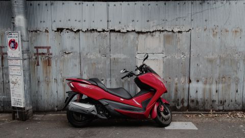 Red Without Pink, Green and Blue True